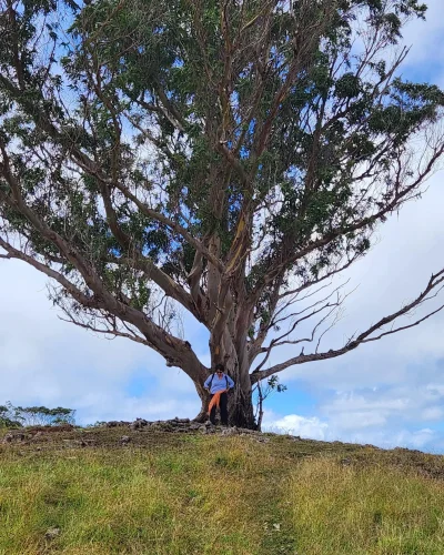 TourRapaNui10